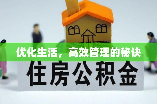 西林优化生活，高效管理的秘诀