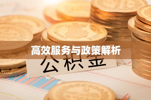西林高效服务与政策解析