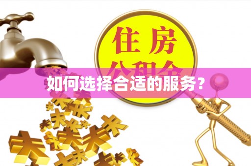 西林如何选择合适的服务？