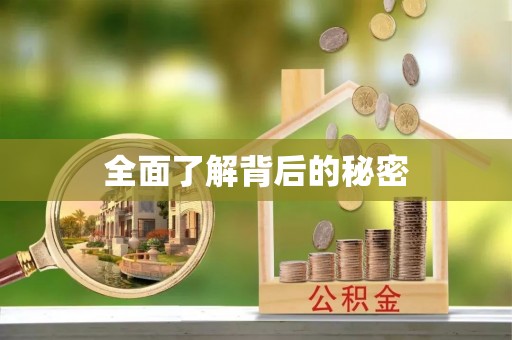 西林全面了解背后的秘密