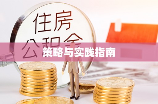 西林策略与实践指南