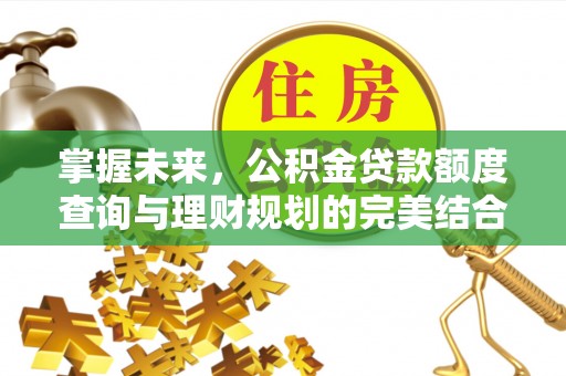 西林掌握未来，公积金贷款额度查询与理财规划的完美结合