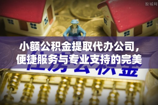 西林小额公积金提取代办公司，便捷服务与专业支持的完美结合