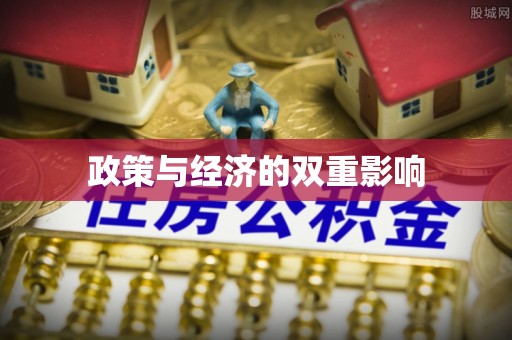 西林政策与经济的双重影响