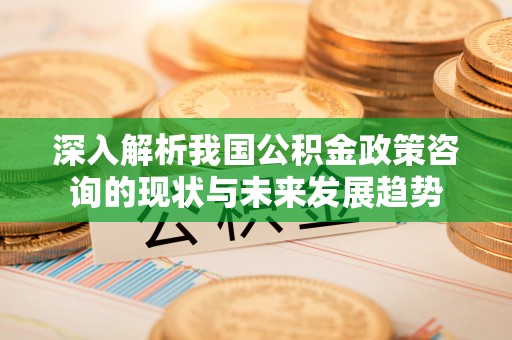 西林深入解析我国公积金政策咨询的现状与未来发展趋势