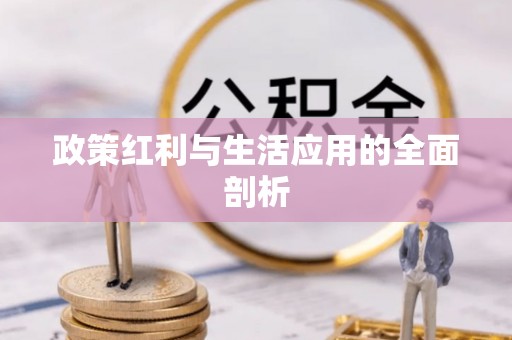 西林政策红利与生活应用的全面剖析