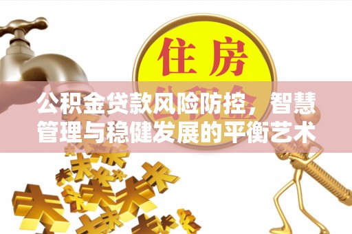 西林公积金贷款风险防控，智慧管理与稳健发展的平衡艺术