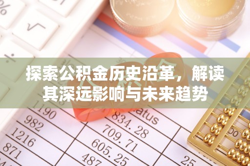 西林探索公积金历史沿革，解读其深远影响与未来趋势