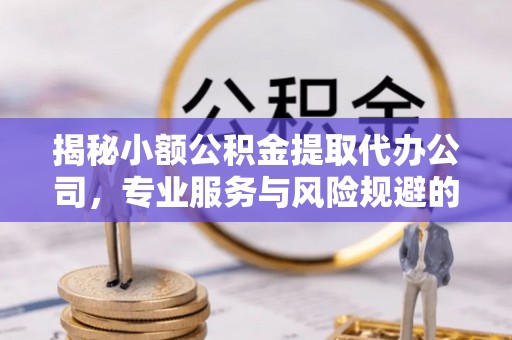西林揭秘小额公积金提取代办公司，专业服务与风险规避的平衡艺术