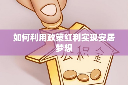 西林如何利用政策红利实现安居梦想