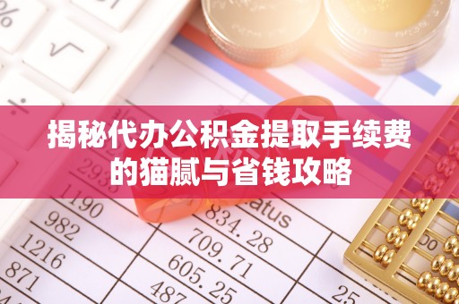 西林揭秘代办公积金提取手续费的猫腻与省钱攻略