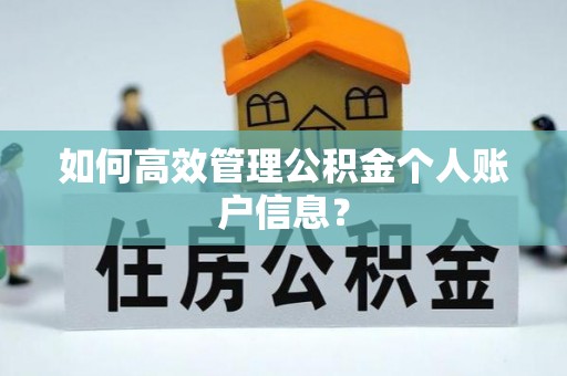 西林如何高效管理公积金个人账户信息？