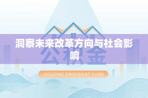西林洞察未来改革方向与社会影响