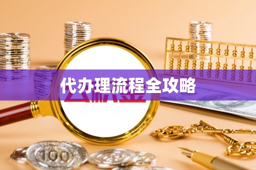 西林代办理流程全攻略