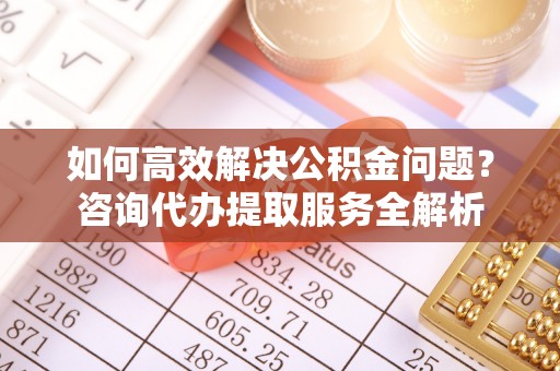 西林如何高效解决公积金问题？咨询代办提取服务全解析