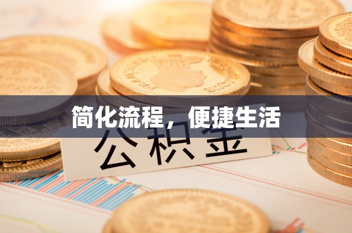 西林简化流程，便捷生活