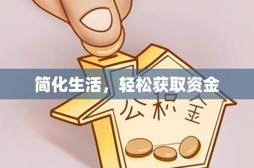 西林简化生活，轻松获取资金