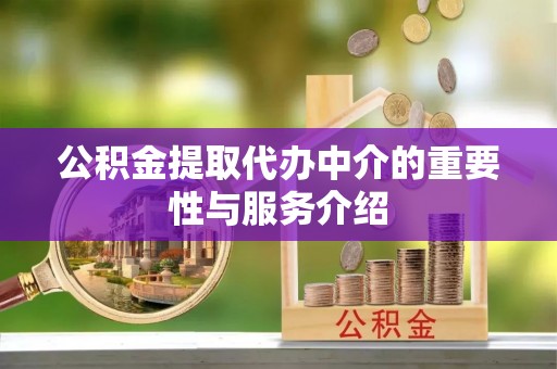 西林公积金提取代办中介的重要性与服务介绍