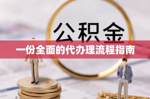 西林一份全面的代办理流程指南
