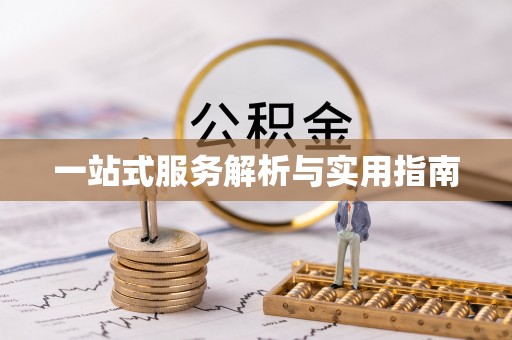 西林一站式服务解析与实用指南