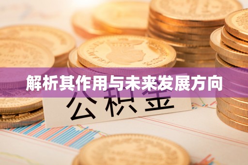西林解析其作用与未来发展方向