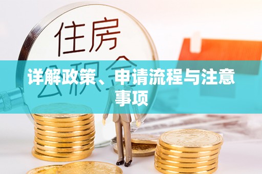 西林详解政策、申请流程与注意事项