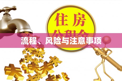 西林流程、风险与注意事项